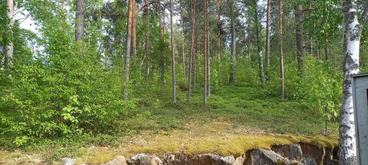 Апартаменти Saimaan Kodikas Савонлінна Екстер'єр фото